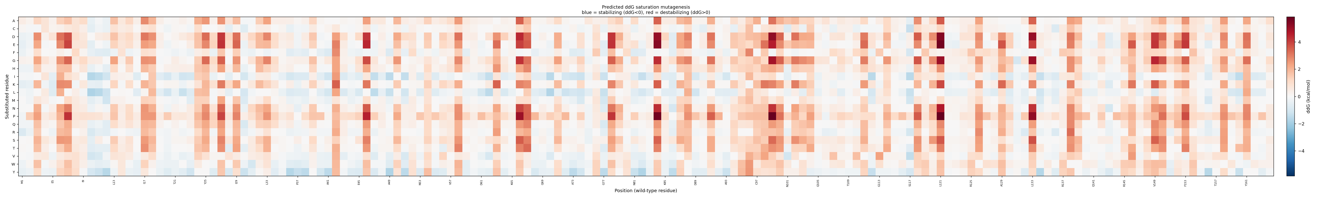 ddG heatmap